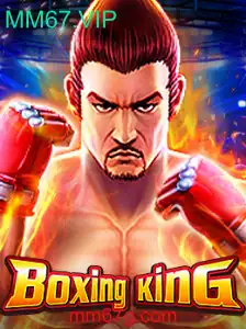 Explorando o Mundo de BoxingKing
